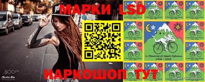 стаф Шебекино