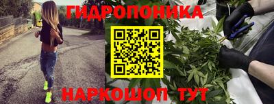 стаф Шебекино
