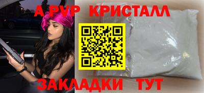 стаф Шебекино