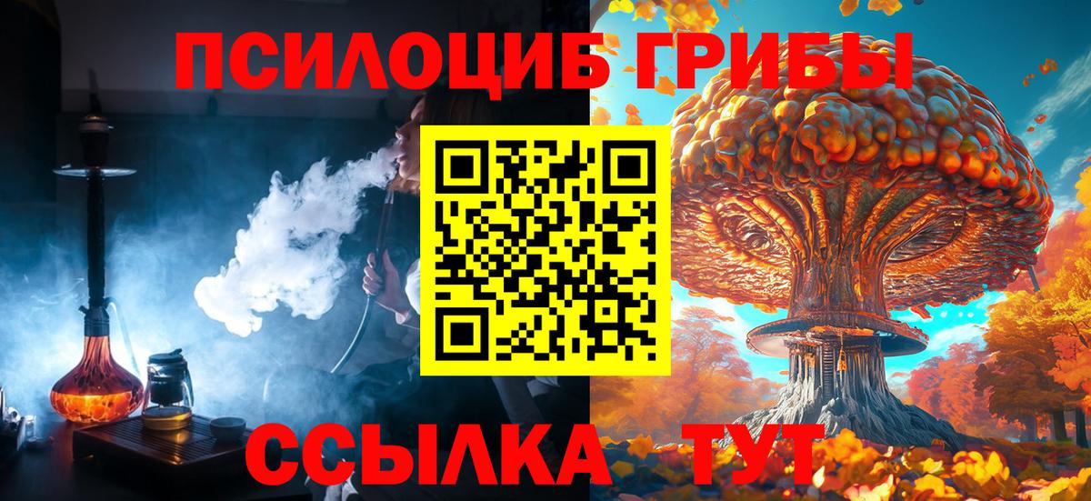Псилоцибиновые грибы Cubensis  Вход с VPN  Гусиноозёрск 